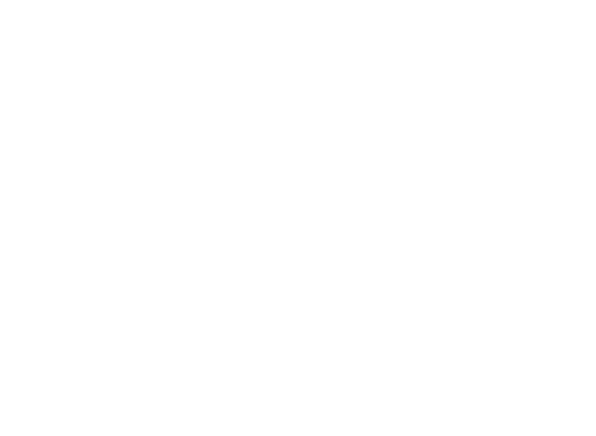 Ant Yapi